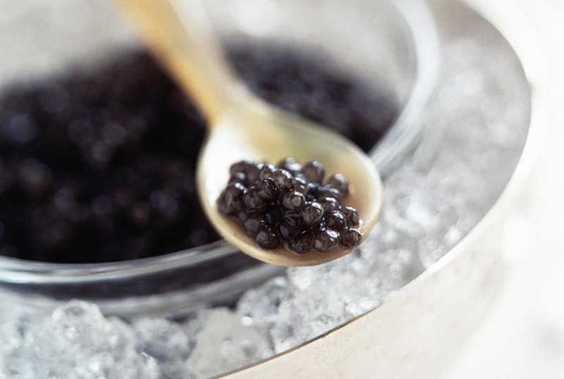 Exploring Osetra Caviar: Origins and Flavors