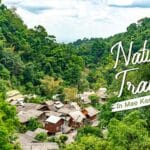Exploring Mae Kampong: A Tranquil Village Getaway