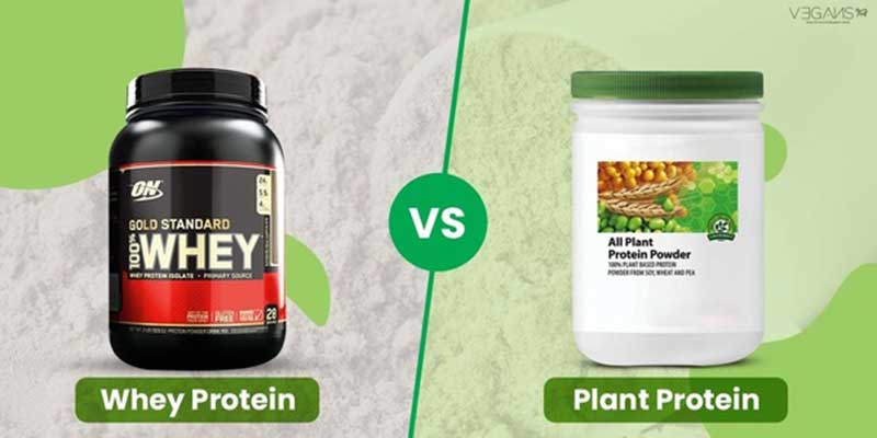 plant protein vs whey